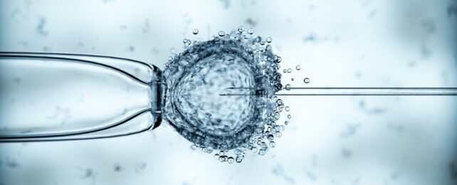 ivf