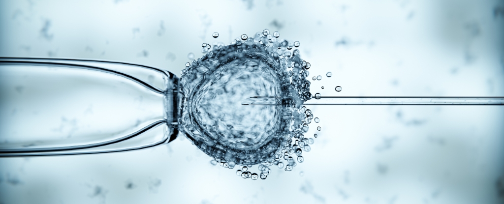 8 Babies Born in UK Using Radical 'Three Parent' IVF Technique