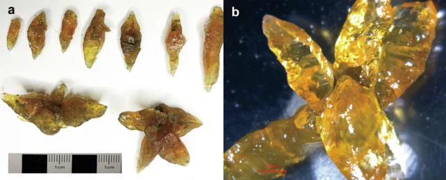 Ikaite specimens
