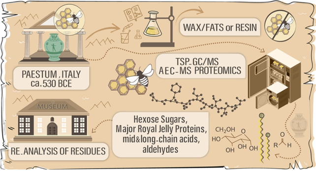 The honey's analytical journey illustrated
