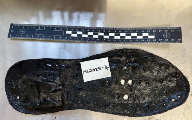 Leather shoe sole