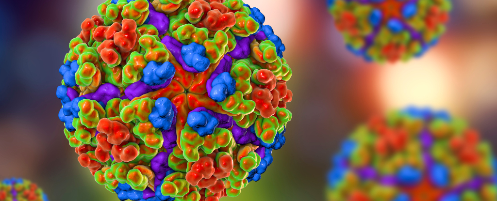 Outbreak of Chikungunya Virus Poses Global Risk, Warns WHO : ScienceAlert