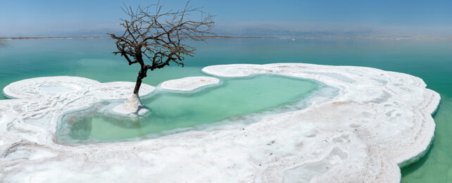 The Dead Sea
