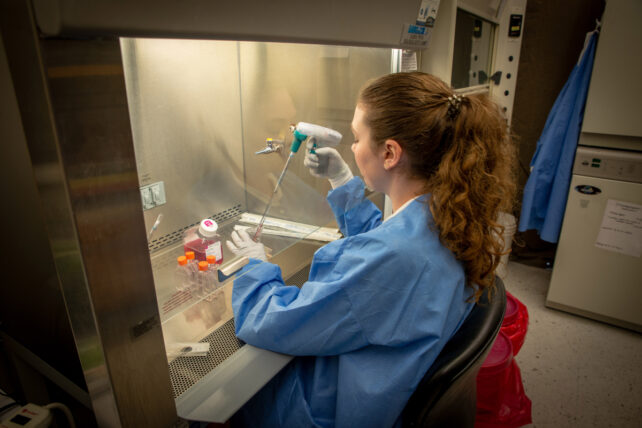 Pepper The Cat Helps Make a Second Scientific Discovery