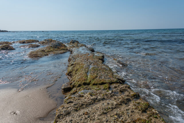 Roman Seawall