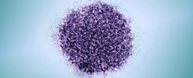Virus Lines Found out in The Mind Lining of Folks With Schizophrenia