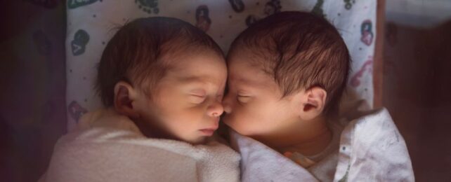 Study Reveals How Many IVF Babies Have Been Born Worldwide