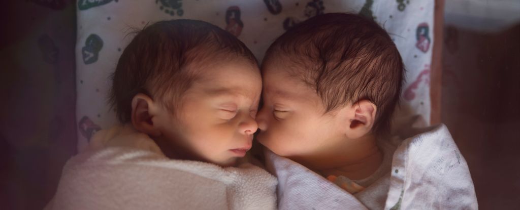 Study Reveals How Many IVF Babies Have Been Born Worldwide : ScienceAlert