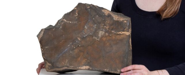A large rock on a bench with hands holding it