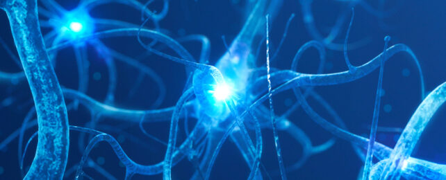 Neuron illustration