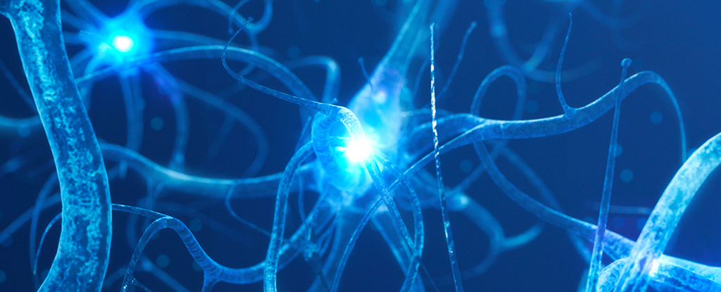 These 4 Distinct Patterns May Signal Alzheimer’s According to Science : ScienceAlert