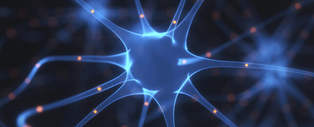 Brain neuron illustration