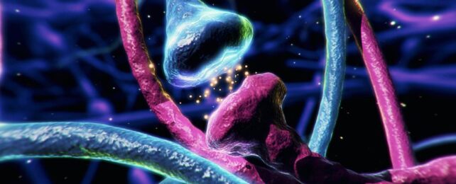 Dopamine Doesn't Work in Our Brains Quite The Way We Thought
