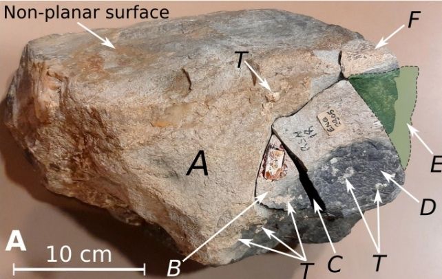 Details of the Newall Boulder
