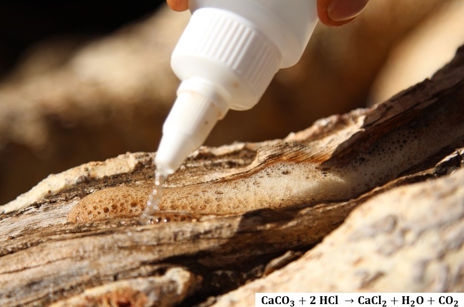 closeup of someone applying a liquid to a tree's bark using a dropper, with froth forming