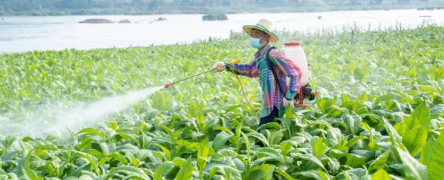 World's Most Popular Weedkiller Has a Regrettable New Ingredient