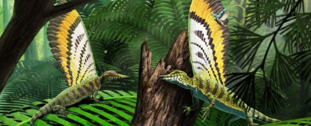 Neither Scales Nor Feathers: Bizarre Appendage Discovered on Reptile Fossil