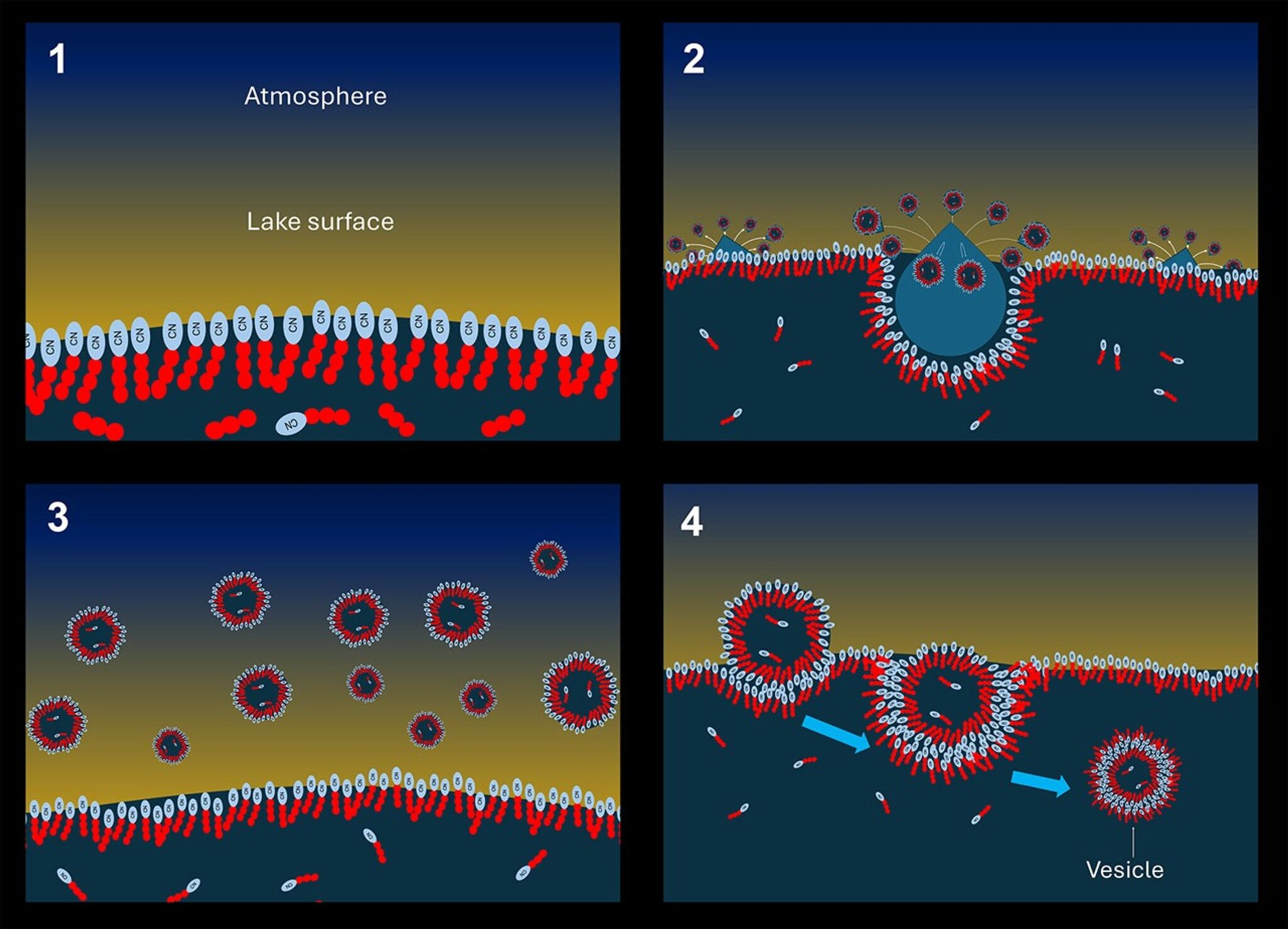TitanVesicle 2048x1477