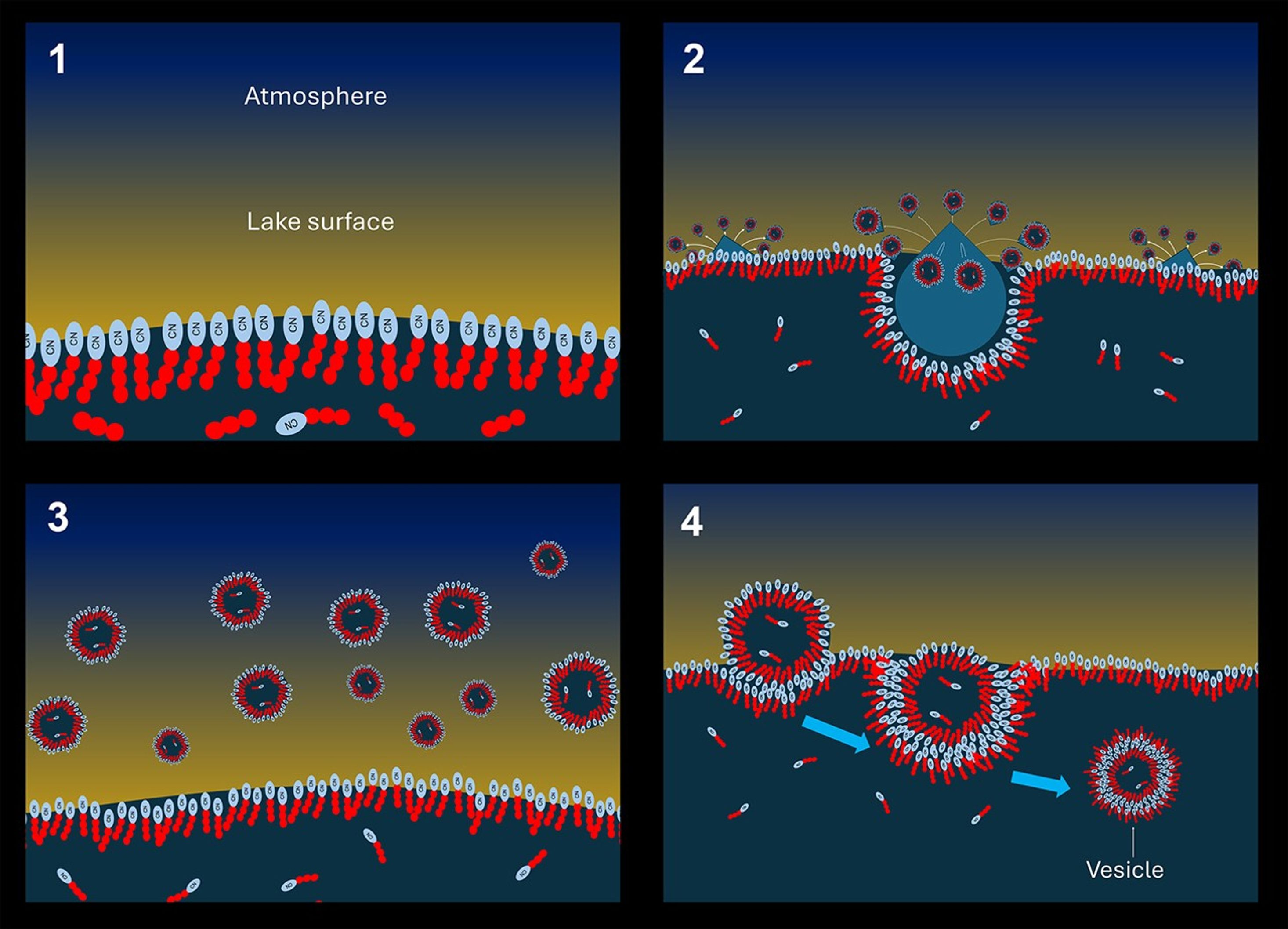 Membrane-Bound Vesicles Could Form Naturally in The Methane Lakes of Titan