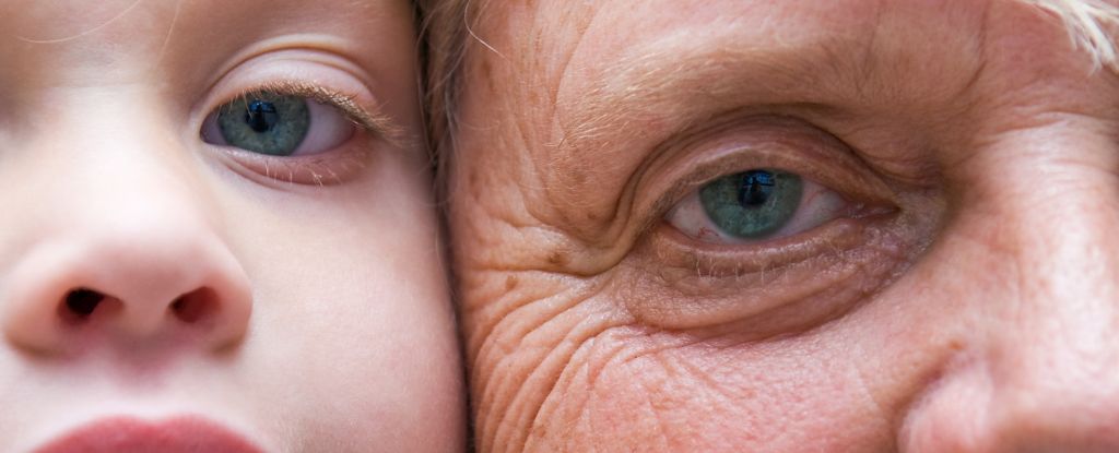Study Reveals Turning Point When Your Body’s Aging Accelerates : ScienceAlert