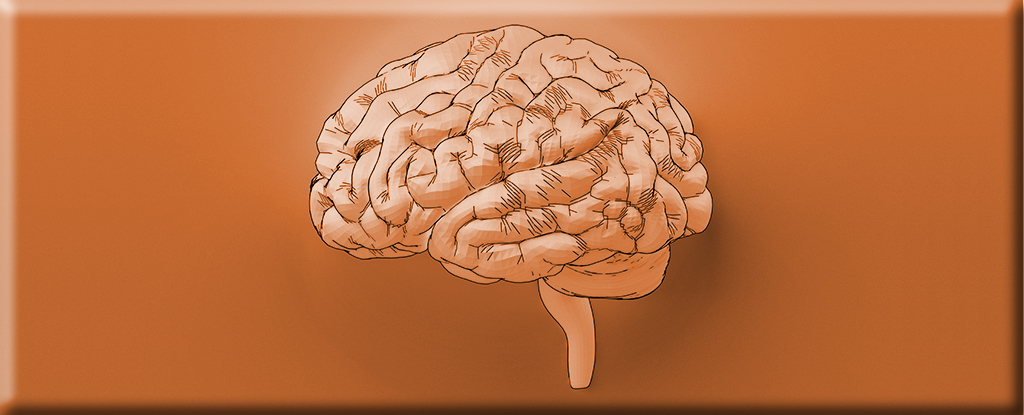 Copper Linked to Better Brain Function In Old Age, Diet Study Suggests : ScienceAlert