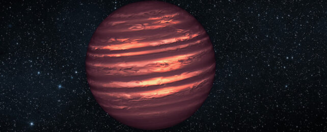 Dark Matter Search Could Lead Us to a New Kind of Star