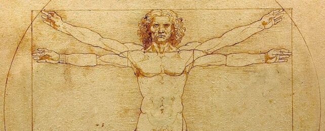 Hidden Detail in Crotch Solves 500-Year-Old Leonardo Da Vinci Mystery