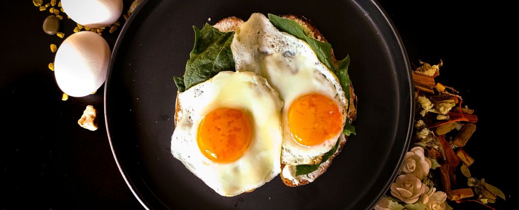 Eating Eggs Can Actually Lower Bad Cholesterol, New Study Says : ScienceAlert