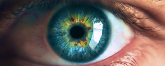 eye close-up