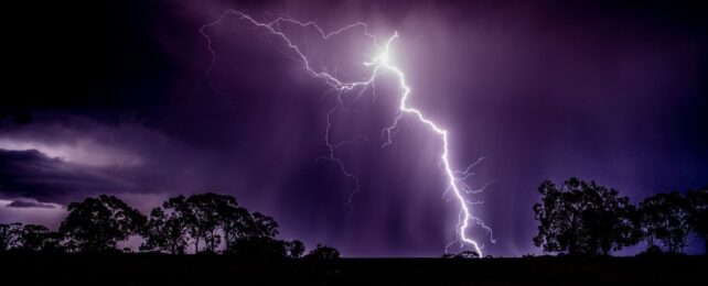 Lightning Kills Way More Trees Than You Would Ever Believe