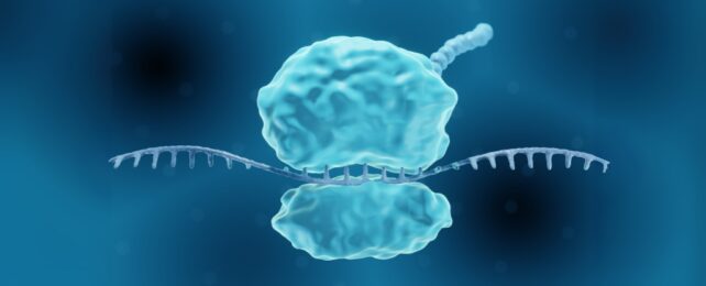 Recreating a Rare Mutation Could Grant Almost Universal Virus Immunity For Days