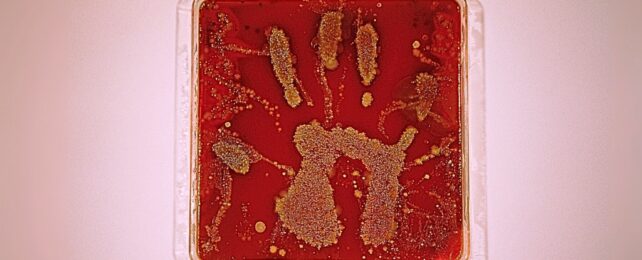 Washing Your Hands Is Even More Important in Summer. Here's Why.