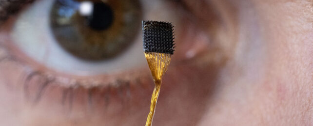 photo of a tiny black square chip with a toothed surface, held up by a golden-colored rod. out of focus in the background is a human eye, which is very large in comparison to the chip.
