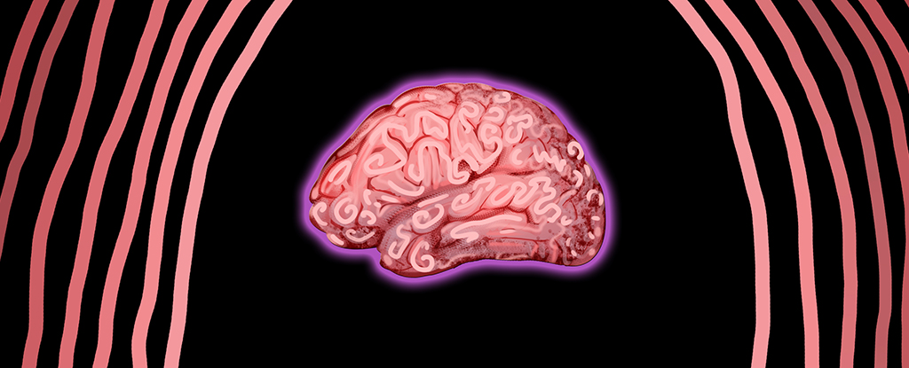 Your Mother’s Germs May Have Influenced Your Brain’s Development : ScienceAlert