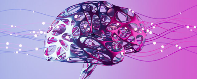 Brain wiring