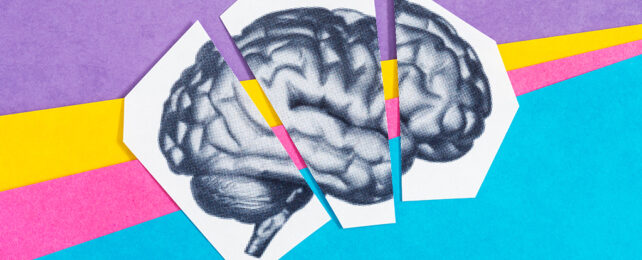 Broken brain