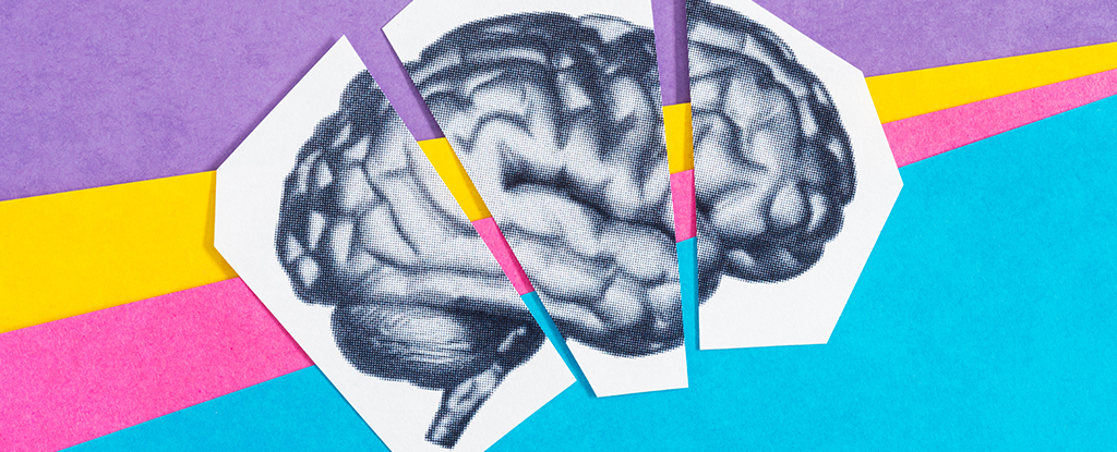 Switching Off One Crucial Protein Appears to Reverse Brain Aging in Mice : ScienceAlert