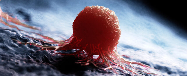 Cancer cell