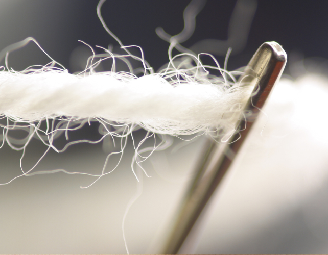 Close-up of needle and thread