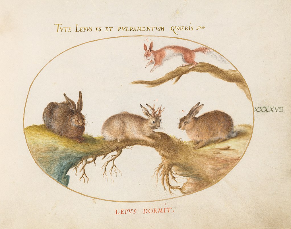 Historic painting of jackalope and rabbitsw