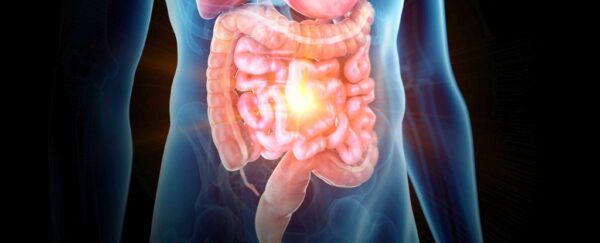 How Your Body Makes Poop (And Surprising Facts About Digestion ...