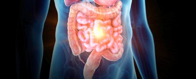 Illustration of human gastrointestinal tract