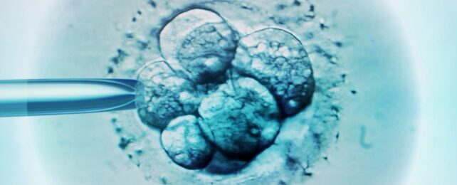 'World's Oldest Baby' Born From 30-Year-Old Frozen Embryo