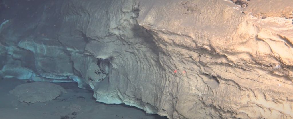 Stunning Discovery Deep in The Ocean Dwarfs The Famous ‘Lost City’ : ScienceAlert