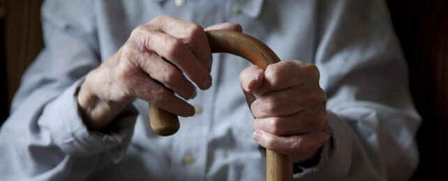 Old man with a stick
