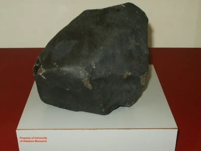 Chunky black rock in museum display