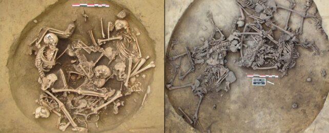 Two burial pits, containing multiple skeletons