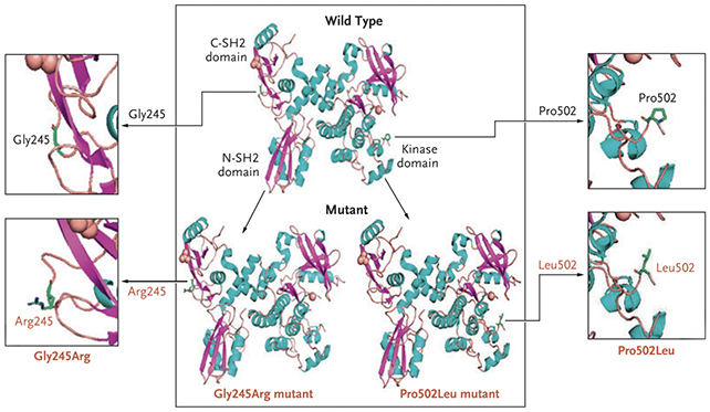 ZAP70 proteins