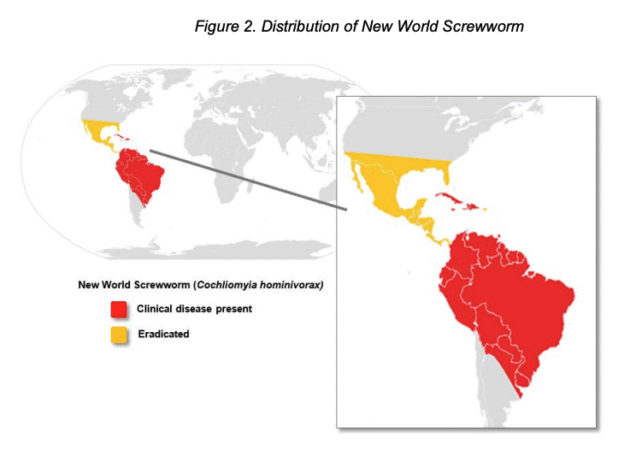 Graphic showing spread of New World Screwworm fly