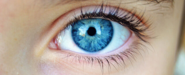 Eye close-up